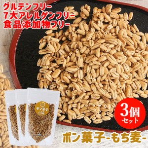 【●お取り寄せ】豊富な食物繊維！やさしい味付けで子どもも食べやすい ポン菓子（もち麦）60g×3個セット 大徳【送料込】