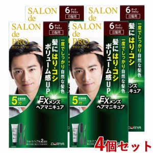 4個セット【6ダークブラウン】EXメンズヘアマニキュア(白髪用) サロンドプロ(SALON de PRO) ダリヤ(DARIYA)【送料込】