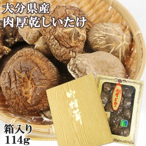 【●お取り寄せ】大分県産椎茸 品質・量共に日本一 味一番の肉厚どんこ 114g 贈答用 五十川株式会社【送料込】