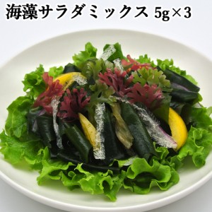 【●お取り寄せ】色鮮やかな海の野菜を手軽に！ 海藻サラダ 15g(5g×3袋) 便利な個包装タイプの海藻サラダ 株式会社山忠