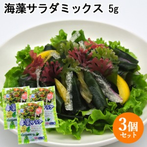 【●お取り寄せ】色鮮やかな海の野菜を手軽に！ 海藻サラダ 15g(5g×3袋)×3個セット 山忠 【送料込】