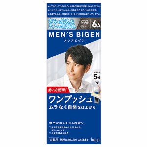 メンズビゲン(MENS BIGEN) ワンプッシュ 6A アッシュブラウン ホーユー(hoyu) 医薬部外品 男性用 白髪染め