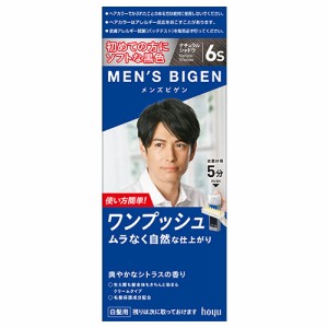 メンズビゲン(MENS BIGEN) ワンプッシュ 6S ナチュラルシャドウ ホーユー(hoyu) 医薬部外品 男性用 白髪染め