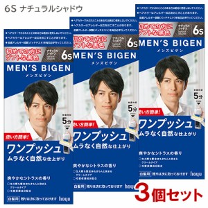 【3個セット】 メンズビゲン(MENS BIGEN) ワンプッシュ 6S ナチュラルシャドウ ホーユー(hoyu) 【送料込】 医薬部外品