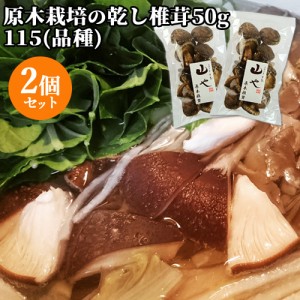 【●お取り寄せ】3個セット 原木栽培した上質な椎茸と質な塩 きのこスパイス塩 40g くにさき半島 山や【送料込】