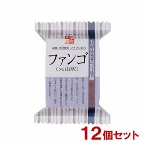 素肌志向 ファンゴ(火山灰) 毛穴の汚れ対策用石鹸 120g×12個セット クロバーコーポレーション 【送料込】