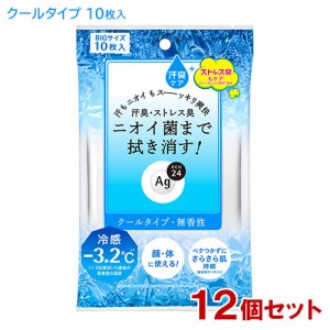 エージーデオ24(Ag DEO24) クリアシャワーシート クール 10枚入×12個セット ファイントゥデイ(Fine Today) 送料込