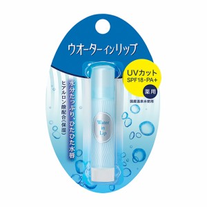 ウォーターインリップ(Water in Lip) 薬用スティック UV n 3.5g ＜医薬部外品＞ 資生堂(SHISEIDO)