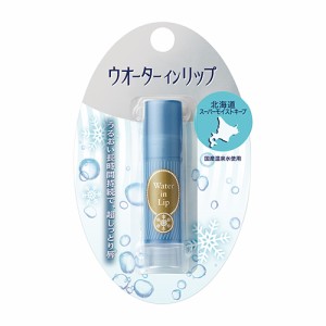 ウォーターインリップ(Water in Lip) スーパーモイストキープ n 3.5g 資生堂(SHISEIDO)