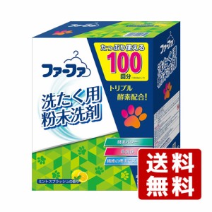 ファーファ(FaFa) 洗剤 3.3kg 粉末洗剤 家庭用 業務用 部活用 たっぷり使えるメガサイズ【送料込】