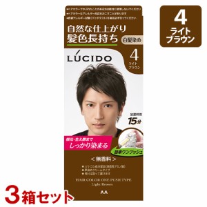 ルシード(LUCIDO) ワンプッシュケアカラー 4 ライトブラウン×3個セット 白髪染めヘアカラー マンダム(mandom)【送料無料】