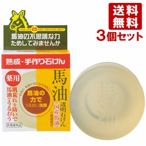 ユゼ 薬用馬油透明石けん 100g×3個セット 洗顔石けん 乾燥肌 保湿 YUZE 【送料無料】