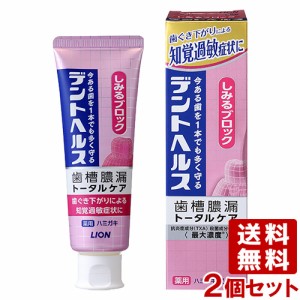 デントヘルス 薬用ハミガキ しみるブロック 85g×2個セット オーラルケア デンタルケア 歯磨き 医薬部外品 ライオン(LION) 送料込