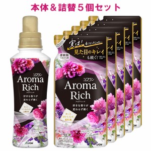 ソフラン アロマリッチ(Aroma Rich) 柔軟剤 Juliette(ジュリエット) 本体 480ml+詰替用 380ml×5個セット ライオン(LION)【送料込】