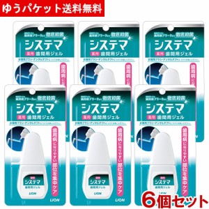 ライオン デンターシステマ 薬用 歯間ジェル 18ml×6個セット LION【メール便送料込】