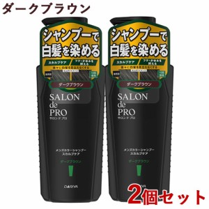 2個セット しっかり洗えるシャンプー 地肌ケア 白髪染め １本で３役 手指の色付き少ない白髪を染める メンズ カラーシャンプー スカルプ