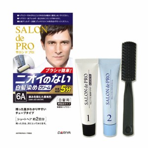 【6A 赤みを抑えた黒褐色】無香料ヘアカラー メンズスピーディ (白髪用) サロンドプロ(SALON de PRO) ダリヤ(DARIYA)