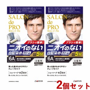 2個セット 【6A 赤みを抑えた黒褐色】無香料ヘアカラー メンズスピーディ (白髪用) サロンドプロ(SALON de PRO) ダリヤ(DARIYA)【送料込