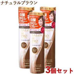 3個セット【ナチュラルブラウン】カラーオンスプレー 白髪用 82g サロンドプロ(SALON de PRO) ダリヤ(DARIYA)【送料込】