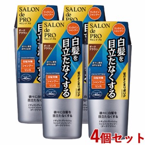 4個セット【ダークブラウン】ナチュラルグレイッシュ リンスインシャンプー 250mL サロンドプロ(SALON de PRO) ダリヤ(DARIYA)【送料込】