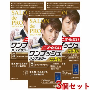 3個セット【5 ナチュラルブラウン】ワンプッシュ メンズカラー(白髪用) サロンドプロ(SALON de PRO) ダリヤ(DARIYA)【送料込】