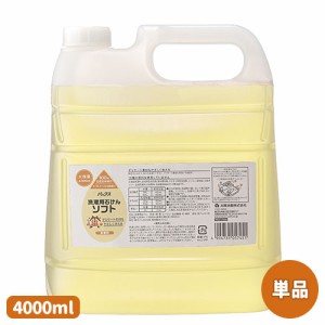 パックス 洗濯用石けんソフト 詰替用 4000ml 洗濯用液体石けん 植物油脂原料 合成界面活性剤&蛍光増白剤不使用 PAX 太陽油脂 送料込