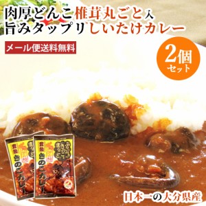 【●お取り寄せ】2個セット 日本一大分県産 肉厚しいたけが丸ごと入った 椎茸カレー 1食分90g 椎茸農協厳選【メール便送料込】