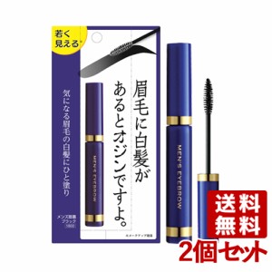 メンズ眉墨 ブラック 5g×2個セット ビナ薬粧 【送料無料】