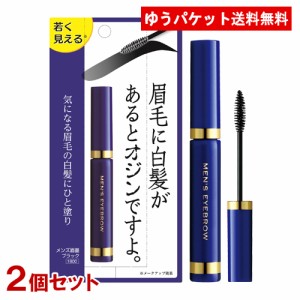 メンズ眉墨 ブラック 5g×2個セット ビナ薬粧 【メール便送料込】