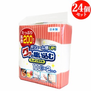 ケース販売 グッと吸い込むキッチンタオル (100カット×2ロール)×24個セット 大分製紙株式会社 【送料無料】