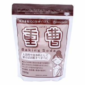 地の塩 ちのしお 重曹 (入浴料・洗浄料) 750g 国産 ナチュラルクリーニング CHINOSHIO