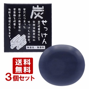 地の塩 ちのしお 炭せっけん (炭石鹸) 100g×3個セット 薬用炭配合 CHINOSHIO【送料込】