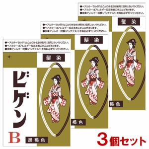 ビゲン(Bigen) B 黒褐色 6g×3個セット 白髪用 白髪染め 医薬部外品 ホーユー(hoyu) 【送料込】