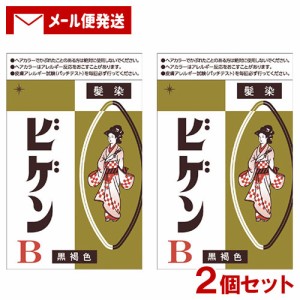 【メール便送料込】 ビゲン(Bigen) B 黒褐色 6g×2個セット 白髪用 白髪染め 医薬部外品 ホーユー(hoyu)