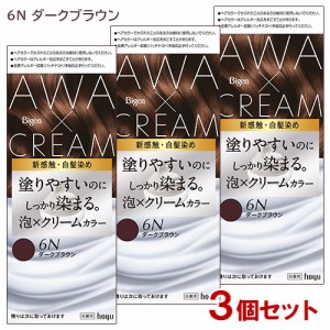 【3個セット】 ビゲン(Bigen) 泡クリームカラー 6N ダークブラウン 白髪用 白髪染め ホーユー(hoyu) 【送料込】