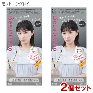 【2個セット】 ビューティラボ(Beautylabo) ホイップヘアカラー モノトーングレイ ホーユー(hoyu) 【送料込】 泡タイプ 医薬部外品