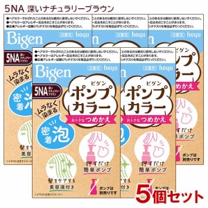 【5個セット】 ビゲン(Bigen) ポンプカラー つめかえ 5NA 深いナチュラリーブラウン ホーユー(hoyu) 【送料込】