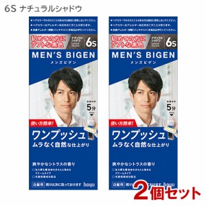 【2個セット】 メンズビゲン(MENS BIGEN) ワンプッシュ 6S ナチュラルシャドウ ホーユー(hoyu) 【送料込】 医薬部外品