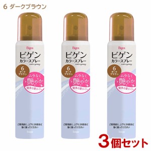 ビゲン(Bigen) カラースプレー 6 ダークブラウン (自然な褐色) 82g×3個セット ホーユー(hoyu) 【送料込】