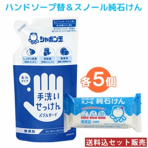 シャボン玉石けん ハンドソープ バブルガード替 250g×5個＆スノール 洗濯用純石けん 固形石鹸 180g×5個 無添加 除菌 せっけん【送料込