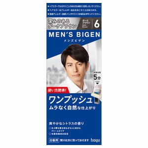 メンズビゲン(MENS BIGEN) ワンプッシュ 6 ダークブラウン ホーユー(hoyu) 医薬部外品 男性用 白髪染め