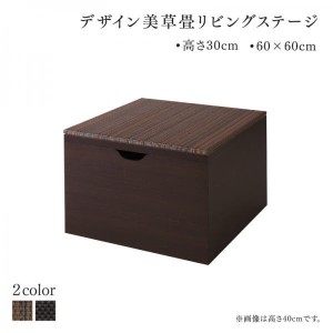 オットマン 60×60cm ロータイプ おしゃれ こあがり美草畳 日本製 収納ボックス