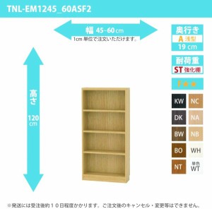 オーダー家具 収納棚 オーダーラック 強化棚板 幅45〜60cm 高さ120cm 奥行19cm