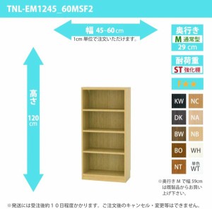 オーダー家具 収納棚 オーダーラック 強化棚板 幅45〜60cm 高さ120cm 奥行29cm