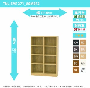 オーダー家具 収納棚 オーダーラック 強化棚板 幅71〜80cm 高さ120cm 奥行29cm