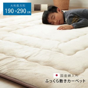 【P10倍：9/23 10:00 - 9/30 09:59】ラグマット 厚手 約3畳 約190×290cm おしゃれ こたつ敷き布団 国産固綿40mm マイクロファイバー地