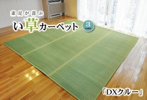 い草マット 本間6畳 約286.5×382cm おしゃれ ござ 抗菌・防臭効果