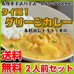 カレー レトルト グリーンカレー お取り寄せ お試し 2人前 セット 青唐辛子 タイ風 スパイス レモングラス グルメ ポイント消化 698円