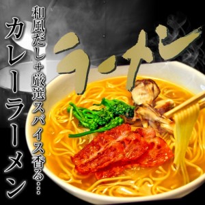 ラーメン スパイス カレー味 本格派 和風だし 濃厚 とろみ スープ お取り寄せ お試し 8人前 セット 豚骨旨味 通販 グルメ ギフト