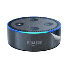 スキンシール Amazon Echo Dot (第2世代・2017年11月発売モデル) 【透明・すりガラス調】 【PDA工房】